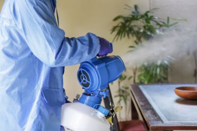 Fumigation Service in Davis County, UT