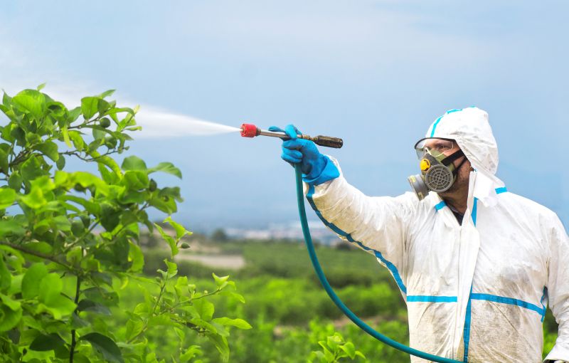 Rat Fumigation Service in Myrtle Beach, SC