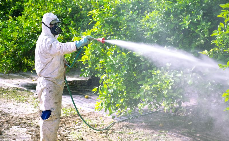 Residential Fumigation in San Jose, CA