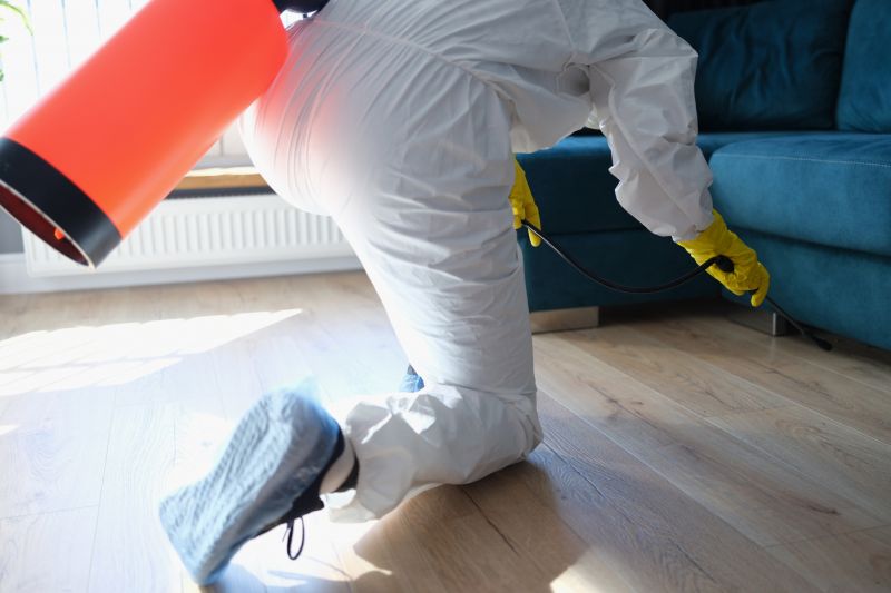 Roach Fumigation in Madison, WI