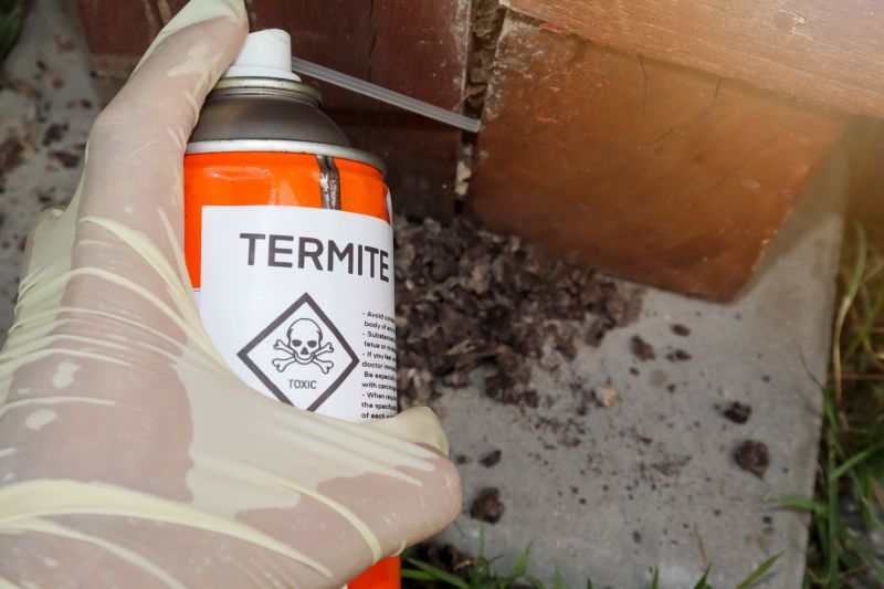 Termite Inspection
