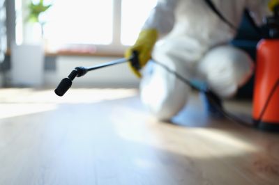 Pest Fumigation Service in Myrtle Beach, SC