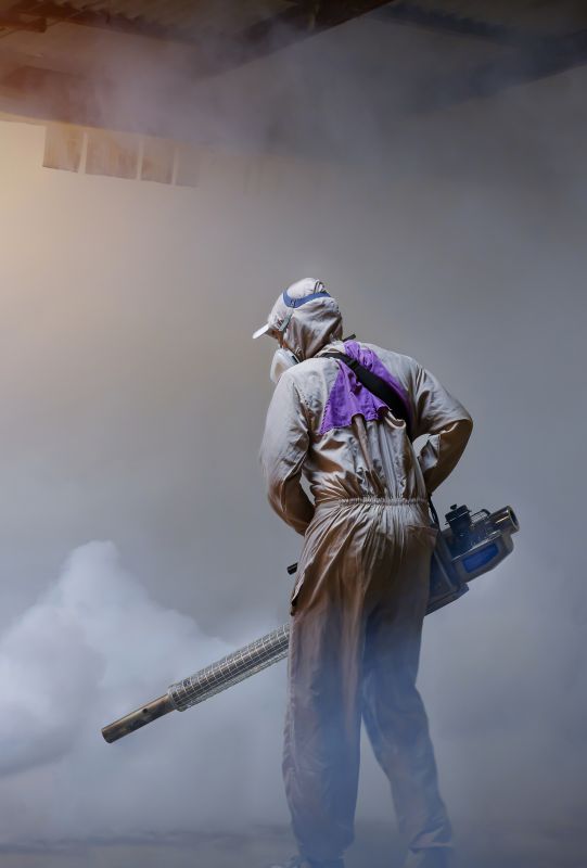 Spider Fumigation Service in Myrtle Beach, SC
