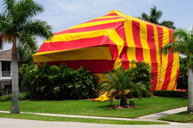 Termite Tenting in Tampa, FL